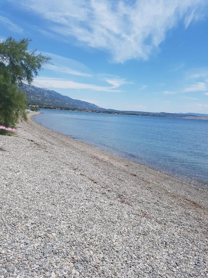 Ruza * Starigrad Paklenica