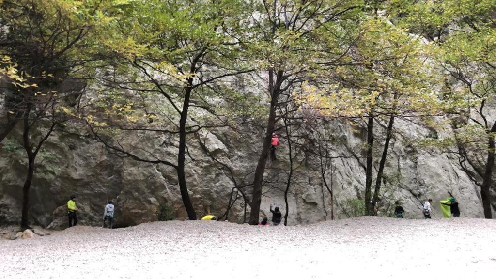 Lägenhet Ruza Starigrad Paklenica