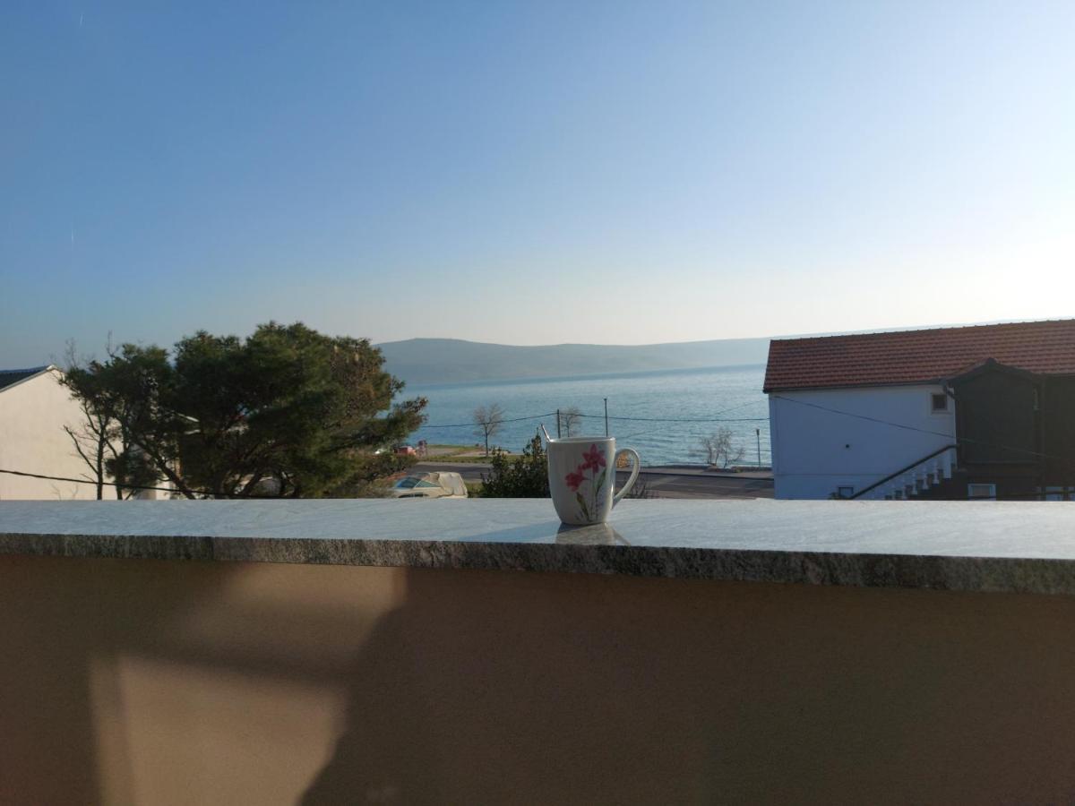 Ruza Starigrad Paklenica