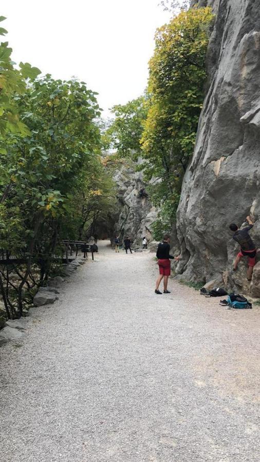 Ruza * Starigrad Paklenica